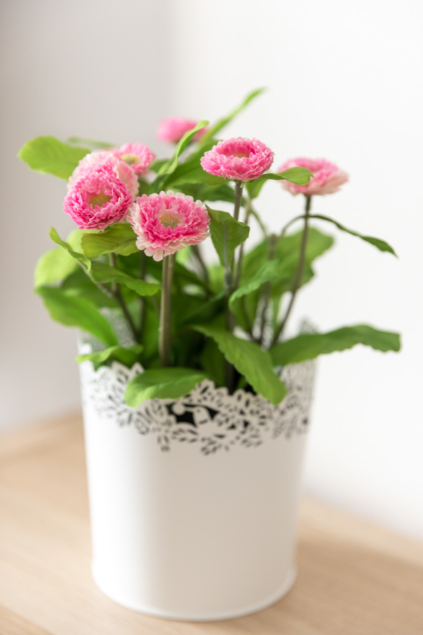 Property-photographer-Bournemouth-2028-10