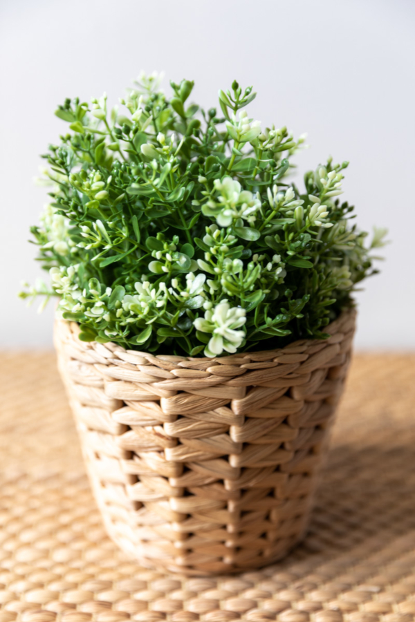 Property-photographer-Bournemouth-2117-15